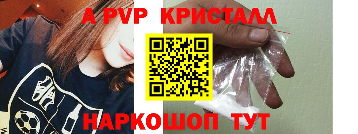 A-PVP СК КРИС Вологда