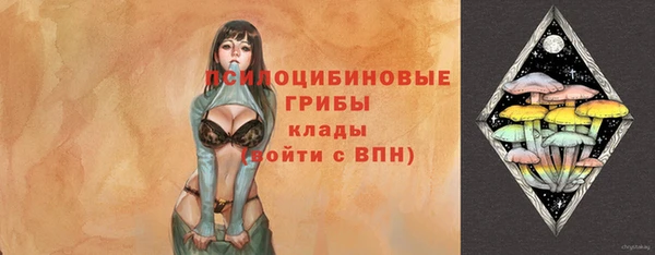 СК Алексин