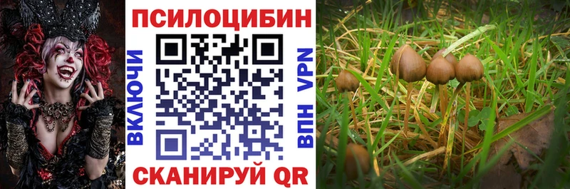 Псилоцибиновые грибы ЛСД где найти наркотики Вологда