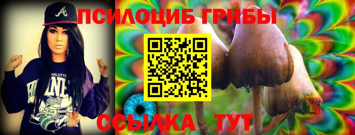 Вологда  Псилоцибиновые грибы мухоморы  Псилоцибиновые грибы прущие грибы  Вход с VPN 